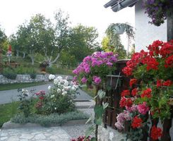 Apartmány Studio v Poljanak