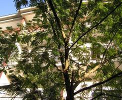 Apartmány Studio A5 v Sukošan