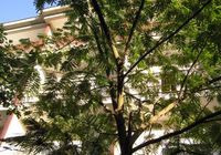 Apartmány Soba br. 6 v Sukošan